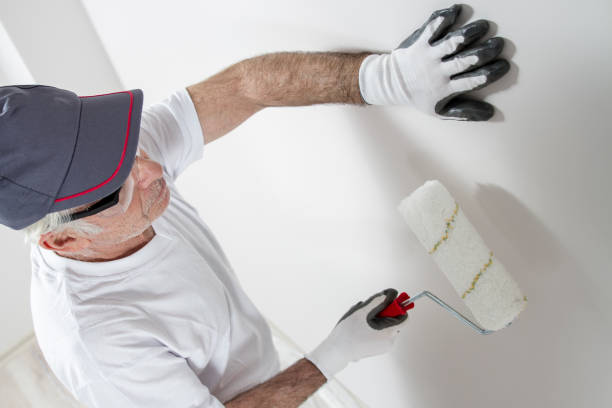 Best Mold Documentation for Insurance Claims  in Hildale, UT