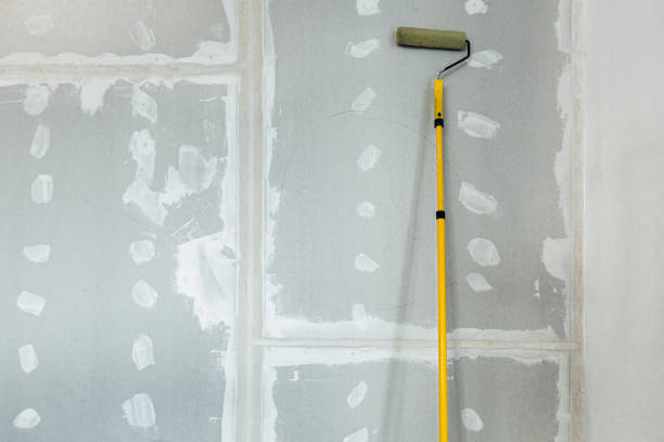 Best Black Mold Removal  in Hildale, UT