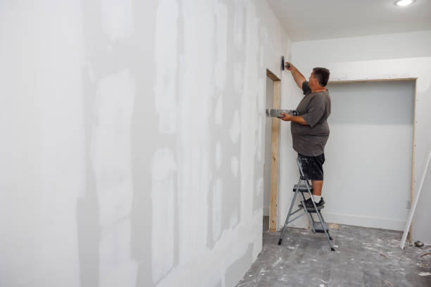 Best Industrial Mold Remediation  in Hildale, UT