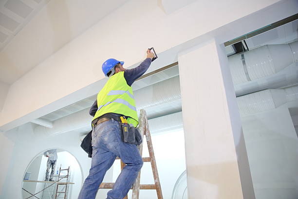 Best Water Damage & Mold Remediation  in Hildale, UT