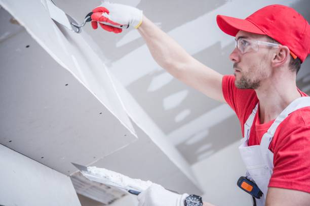 Best Asbestos and Lead Testing During Mold Inspection  in Hildale, UT